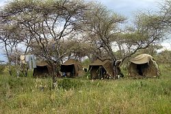  Serengeti