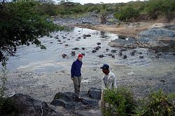  Jeziorko hipopotamów - Serengeti