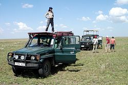  Serengeti