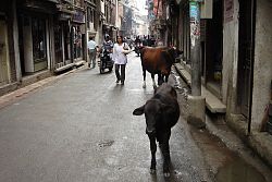  Ulice Katmandu