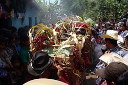  Procesja do Maximona