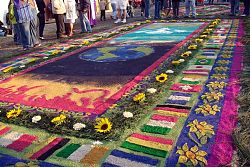  Dywan - alfombra