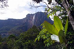  Salto Angel