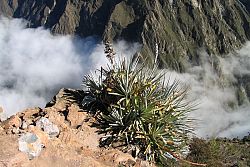  Kanion Colca.....