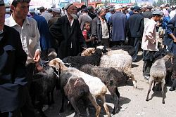  Na bazarze w Kashgarze..