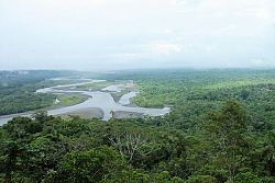  Amazonia ...