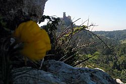  Sintra